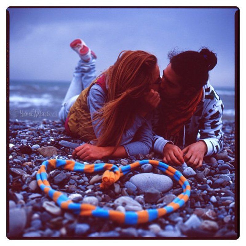 bronica, sq-ai *photo preview