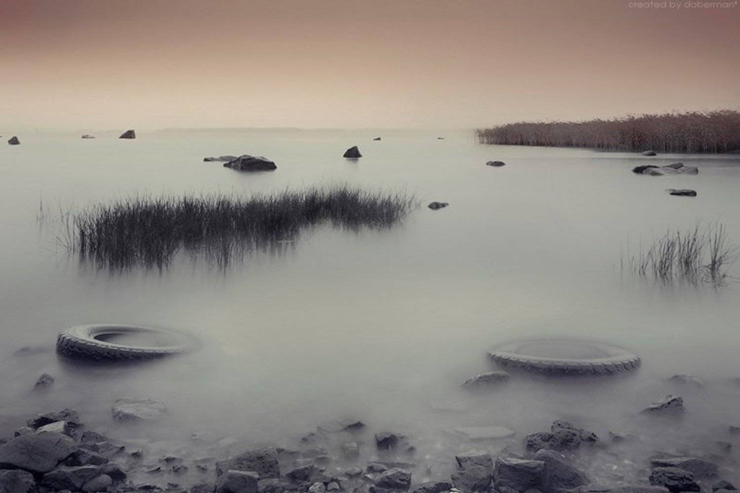 ***. Автор: Денис Богомолов , Денис Богомолов