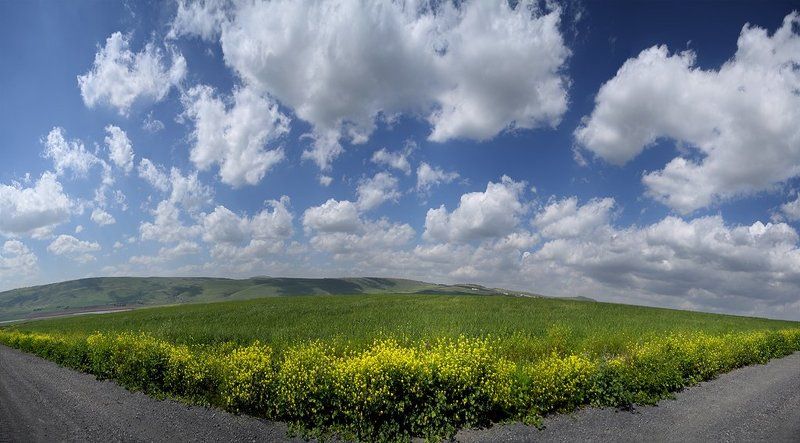 Эйфория.photo preview