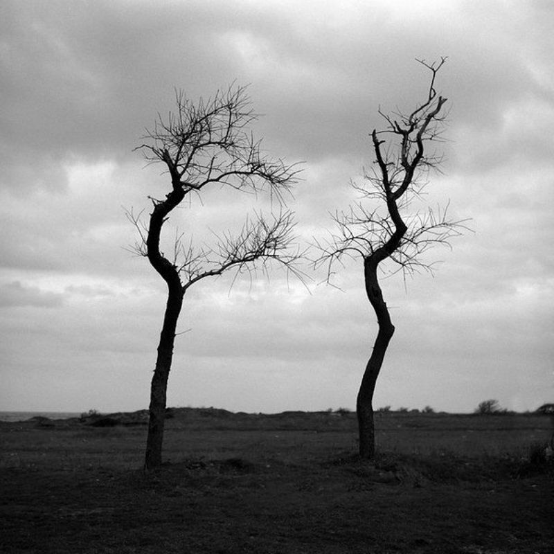 Двоеphoto preview