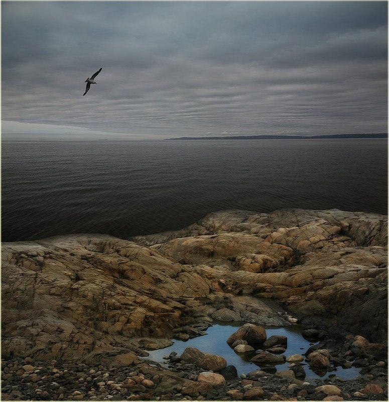 баренцево море, малая немецкая бухта, Холодные берега фото превью