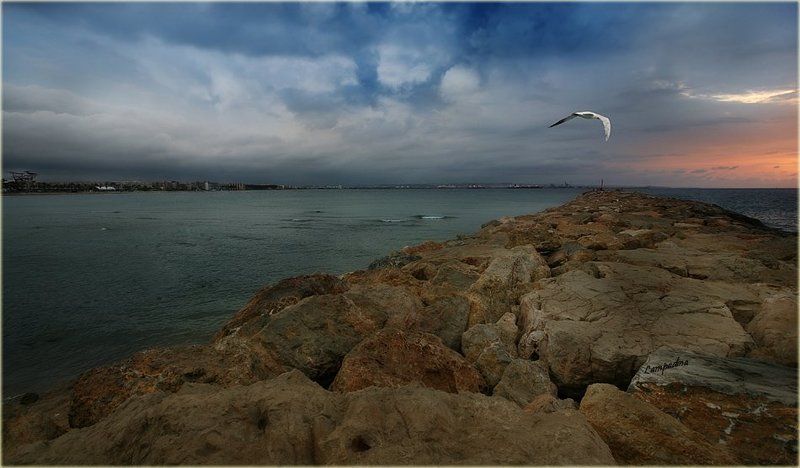 испания, рассвет, чайка Пирс фото превью