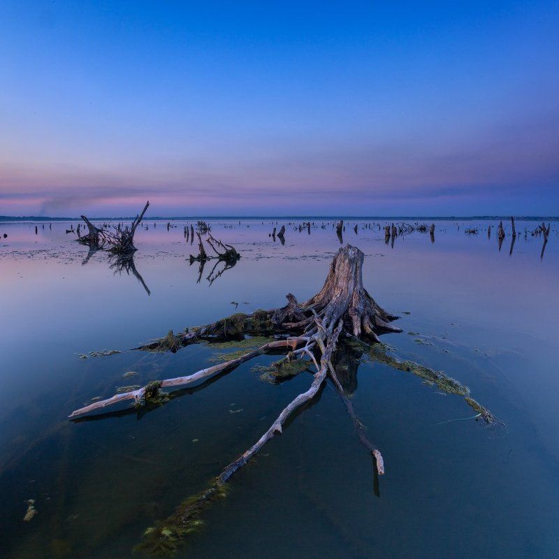 То что мёртвое - умереть не можетphoto preview