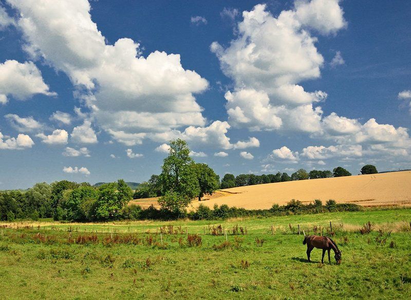 Последний день июля...photo preview