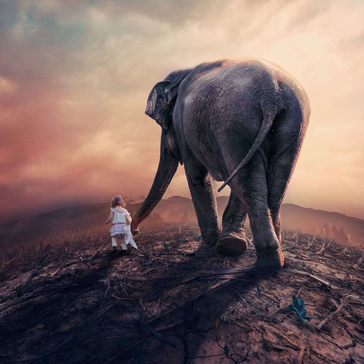 bird, bridge, calm, castle, cold, crow, dark, fairy, fly, fog, fruit, girl, gravity, island, lens, long exposure, manipulation, mist, motion, night, ocean, photoshop, psd, reflection, rocks, sky, storm, tower, tree, tutorials, water, wood, boy, flower, fo, Caras Ionut