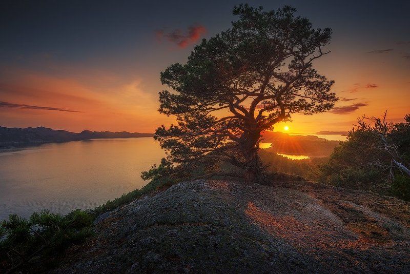 Одиночка на вершине Nerafjelletphoto preview