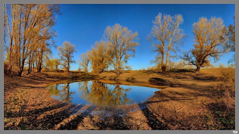 Банноеphoto preview