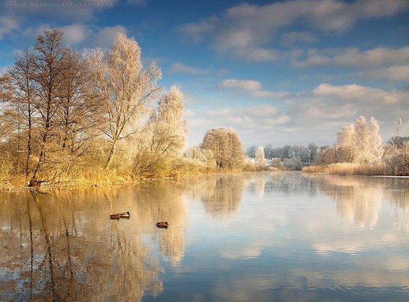 Jakub przybyla, River, Winter Frosty morning on the river Dravaphoto preview
