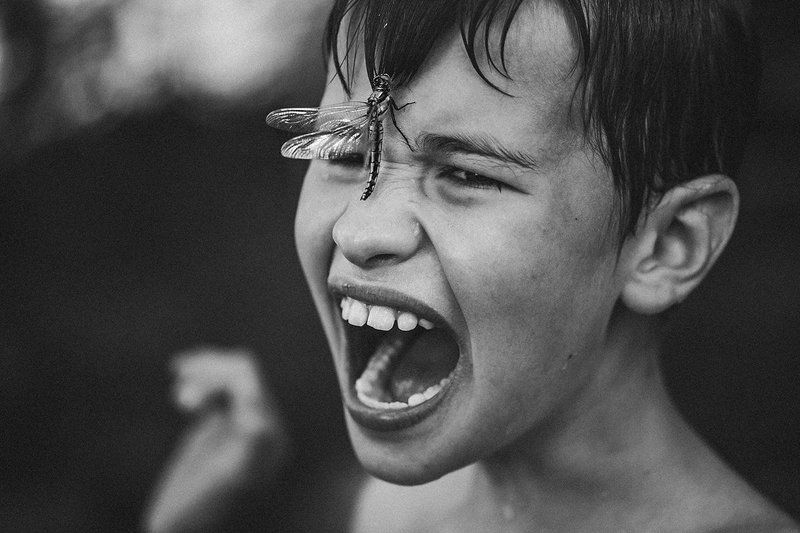 Напугалаphoto preview