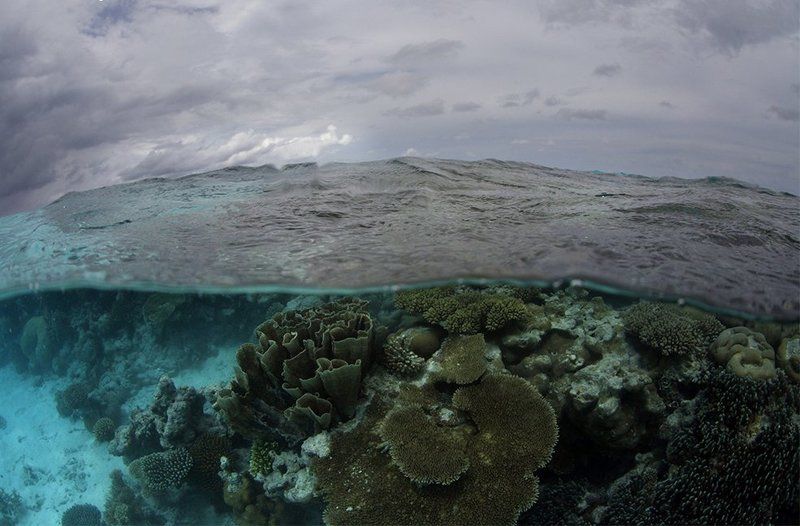 Море волнуется раз..)photo preview