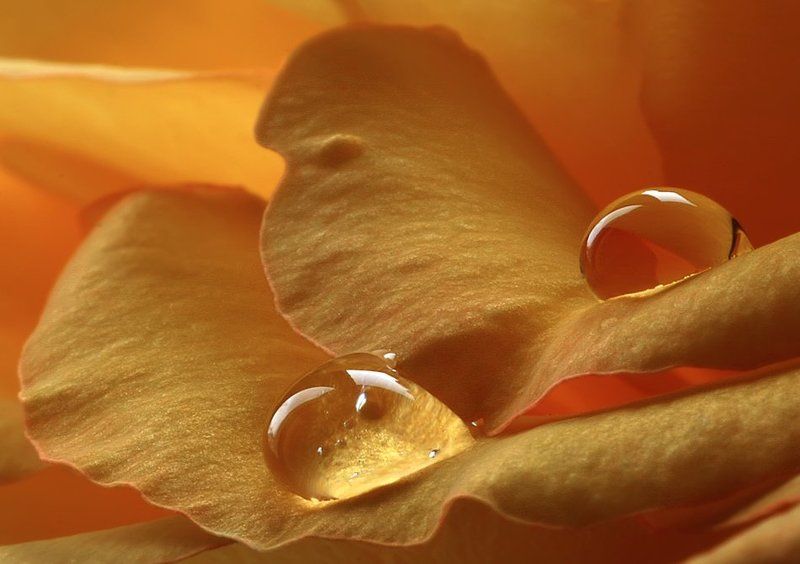 Капелькиphoto preview