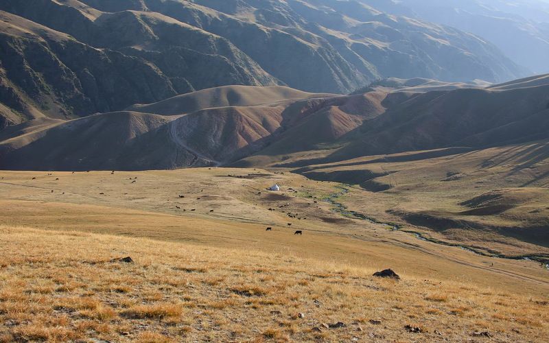 казахстан, , заилийское, алатау, ассы photo preview