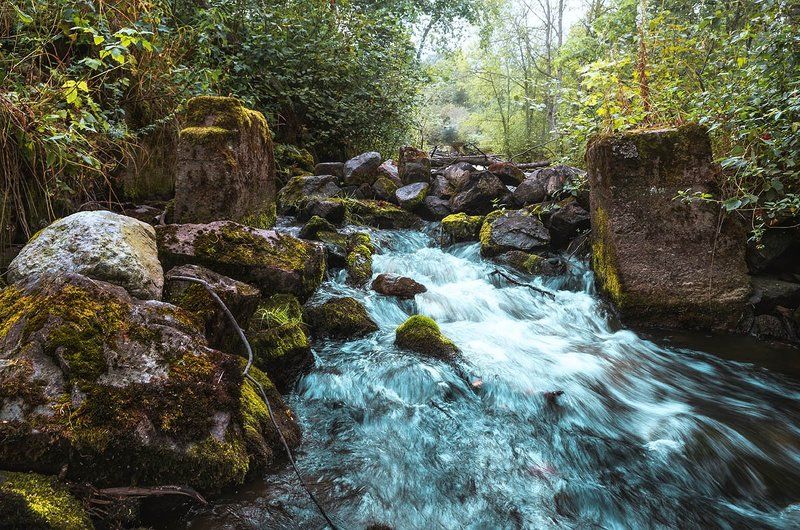 Асиланphoto preview