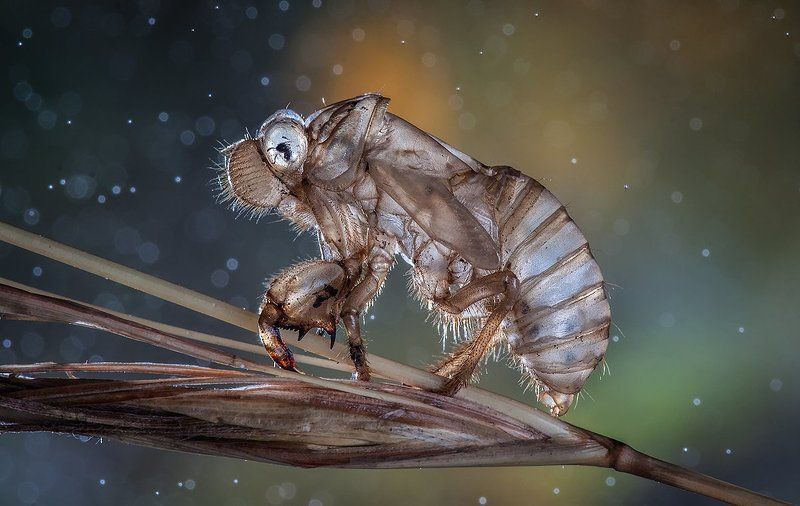 Фундаментальное взаимодействие.photo preview