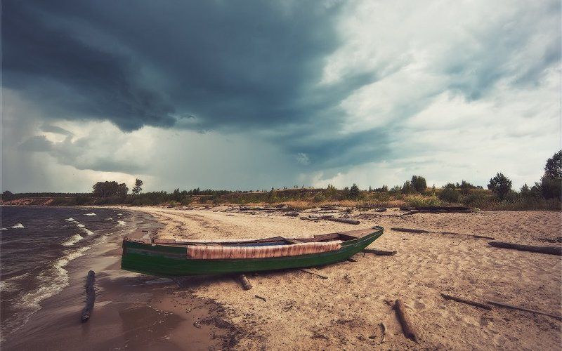 Рыжковоphoto preview