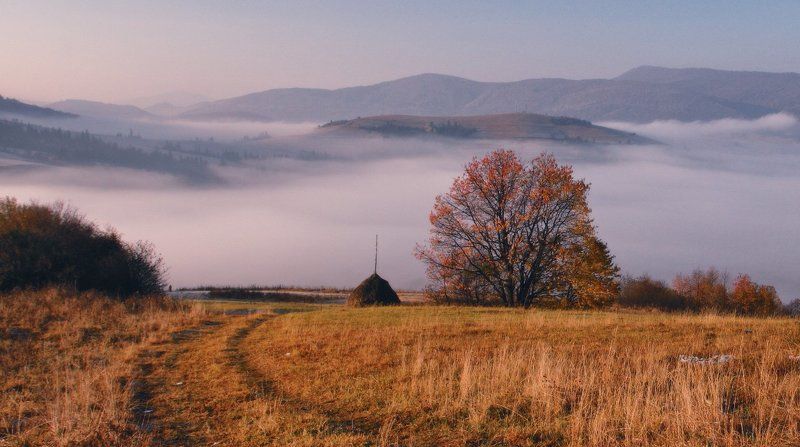 карпаты, осень, утро, туман Осенняя пораphoto preview