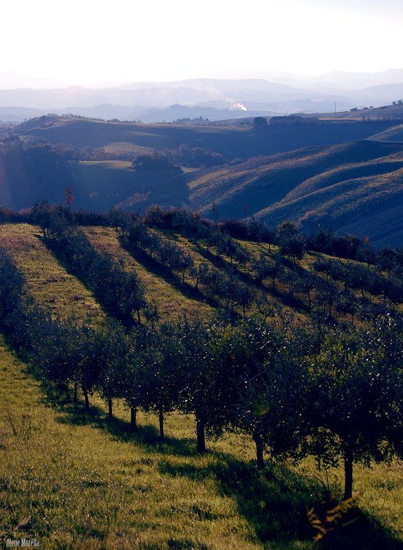 Stripedphoto preview