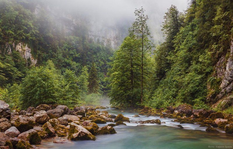 Юпшараphoto preview