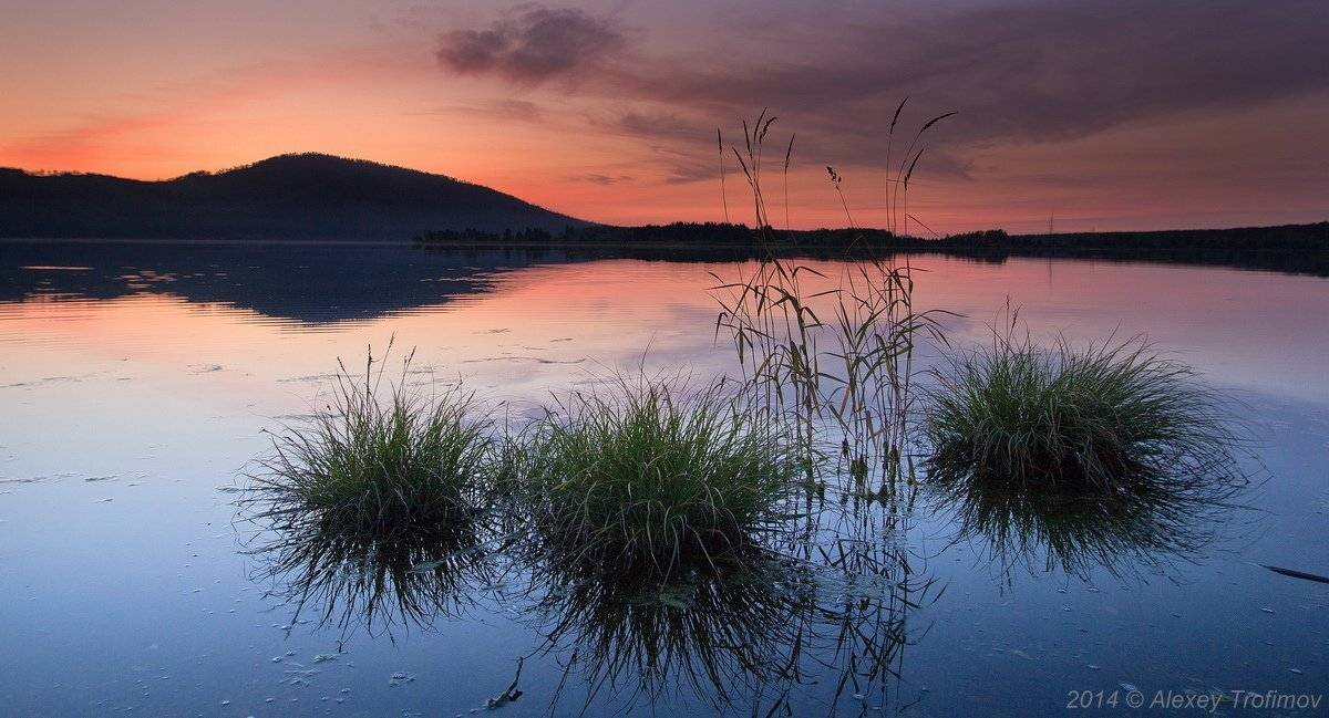 Тонкая нить тишины.... Автор: Алексей Трофимов , Алексей Трофимов