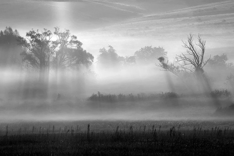 Утроphoto preview