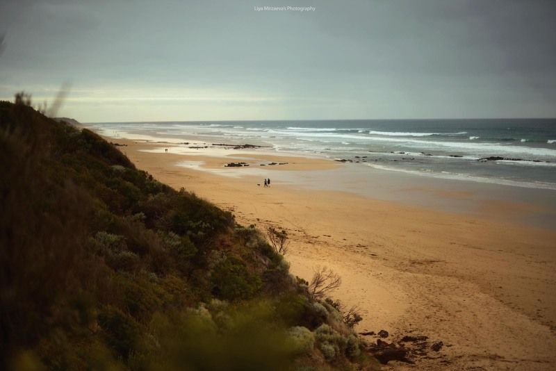 Winter walkphoto preview