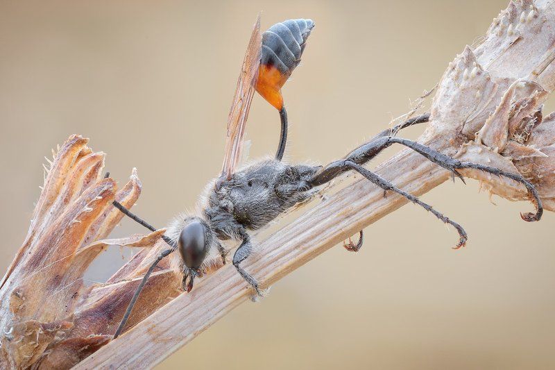 ---+---photo preview