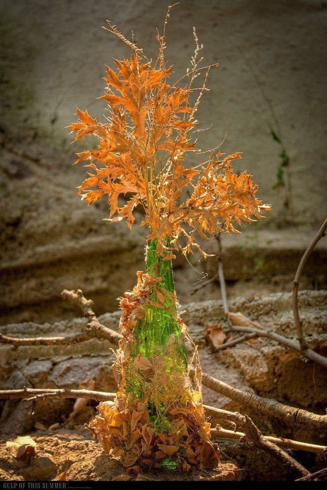 , Виталий Пономаренко
