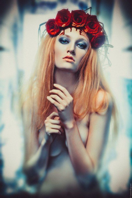 Новое продолжениеphoto preview