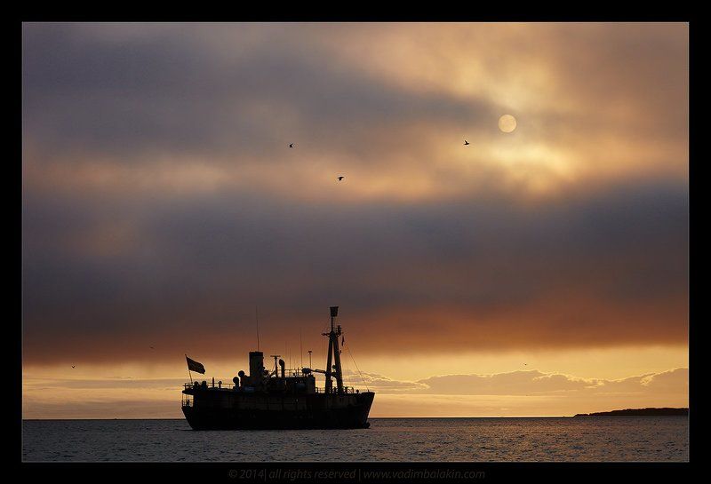 Навстречу солнцуphoto preview