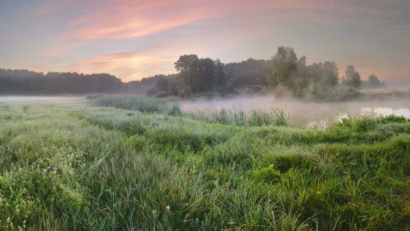 минск, свислочь, утро, рассвет, туман, беларусь, август Августовское утроphoto preview