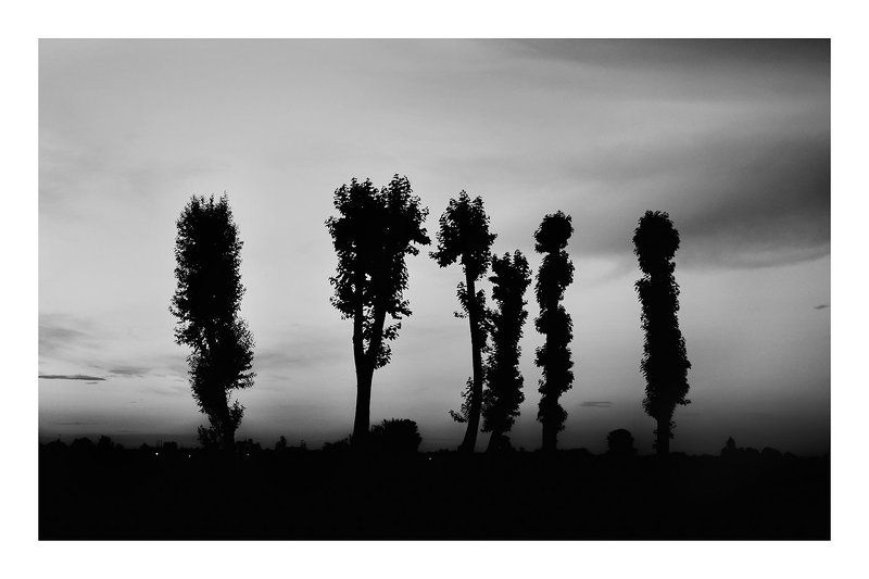 Почти люди.photo preview