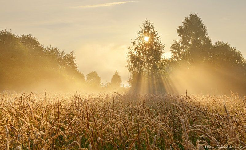 Очередной Вашутинский рассвет, давеча.photo preview