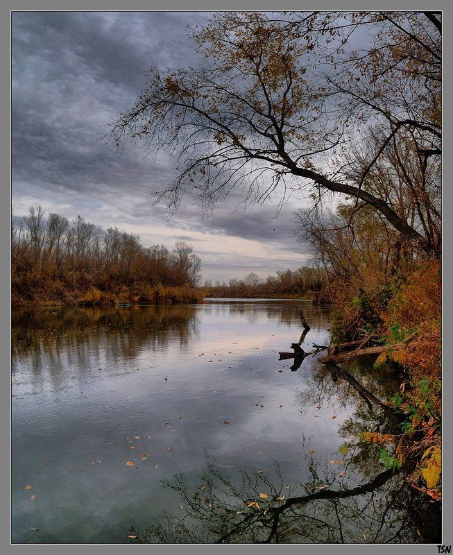 из осениphoto preview