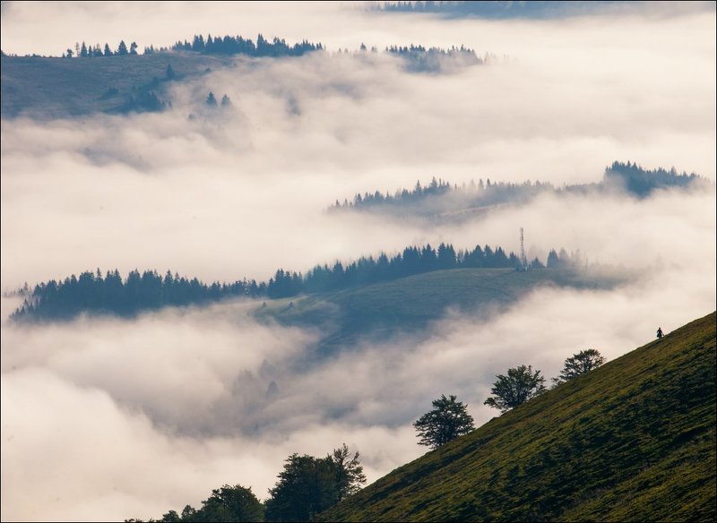 собирательница черникиphoto preview