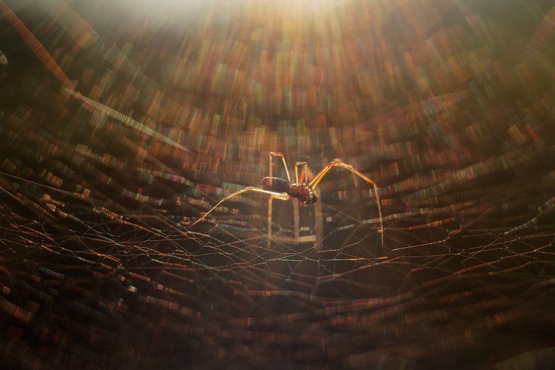 В их миреphoto preview