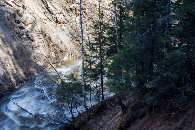 *******photo preview