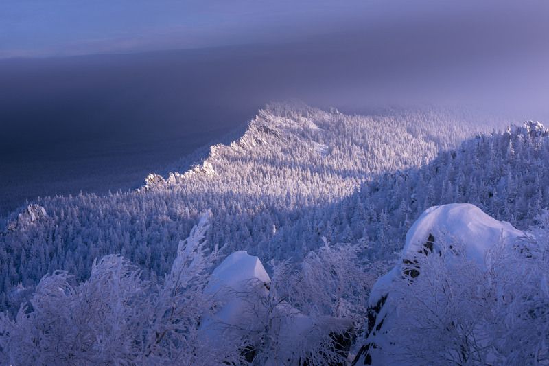 *******photo preview