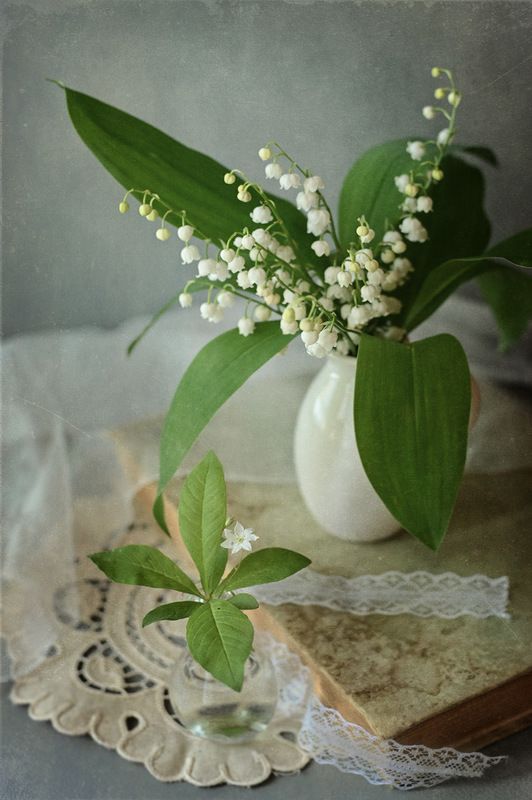 Ландыши, ландышиphoto preview