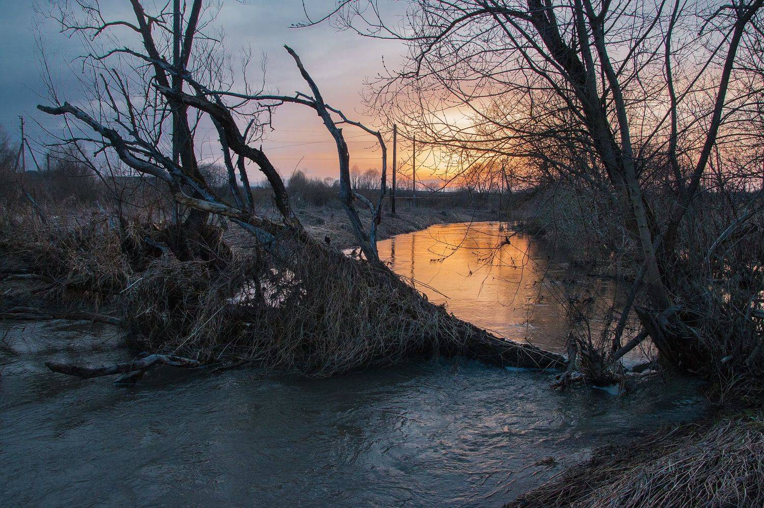 ,  Александр