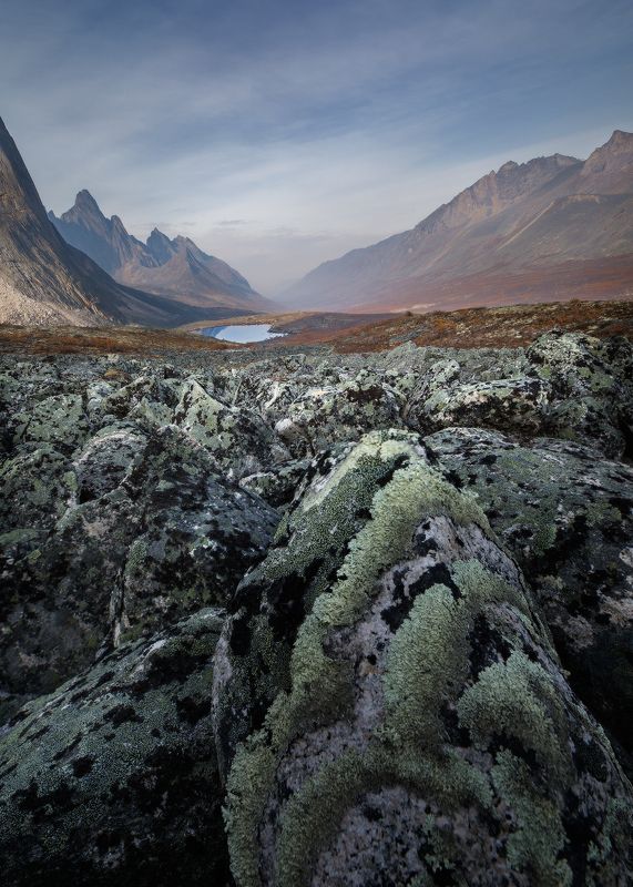 Дым в тундреphoto preview