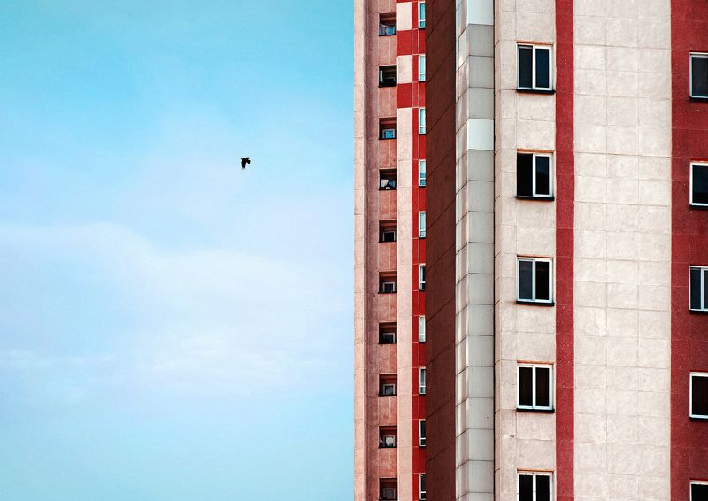 Half Halfphoto preview