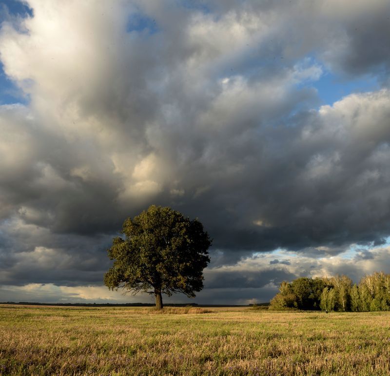 ... и гроза пройдёт.photo preview