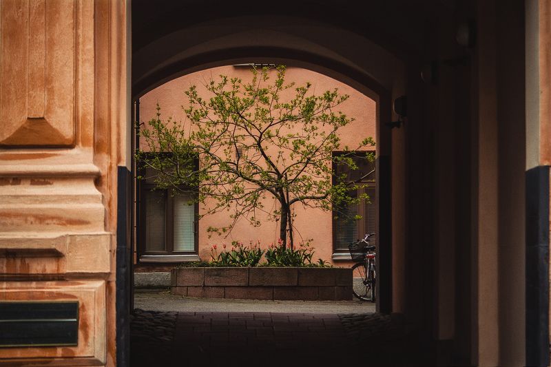 пейзаж, город, хельсинки, helsinki, cityscape, city, finland, urban landscape the courtyard. helsinkiphoto preview