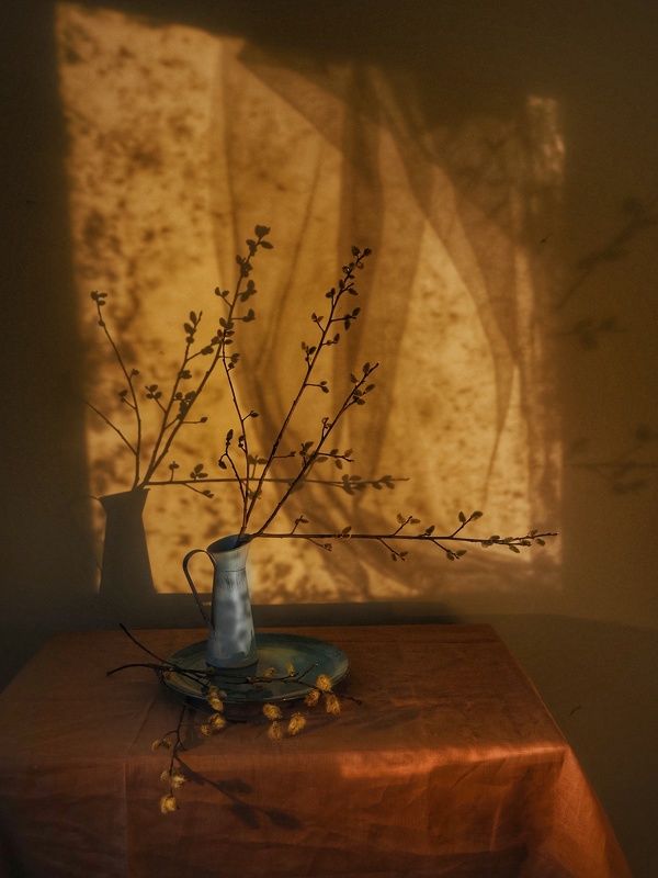 Натюрмортыphoto preview