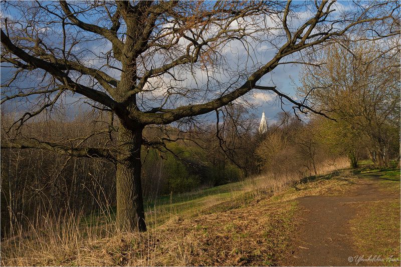 весна, коломенское ***photo preview