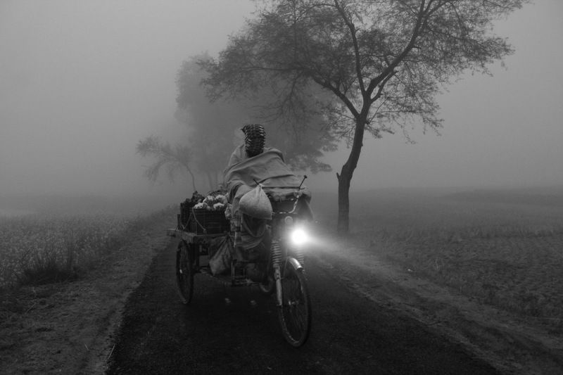 Light of hope photo preview