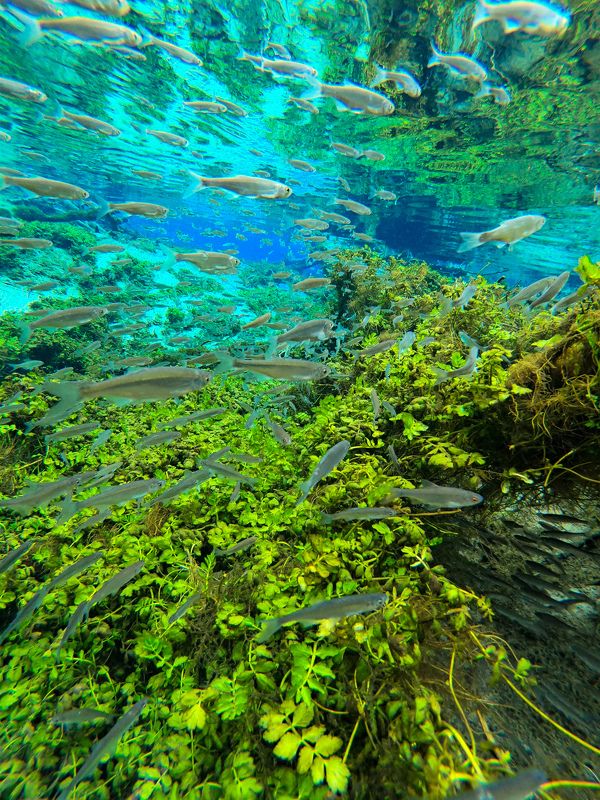 Samsung Мобилографияphoto preview