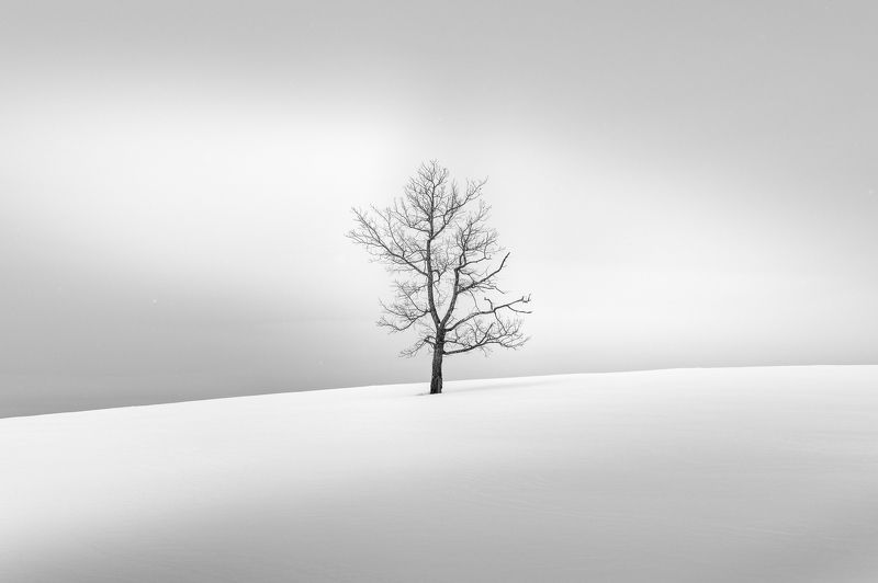 На холмеphoto preview