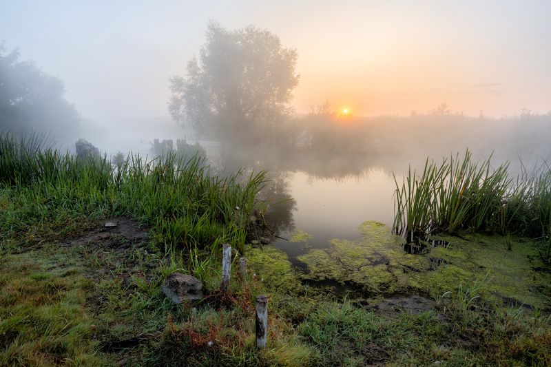 Сентябрьphoto preview