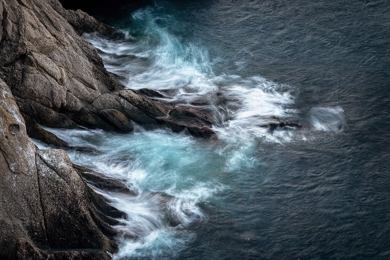 Лапыphoto preview